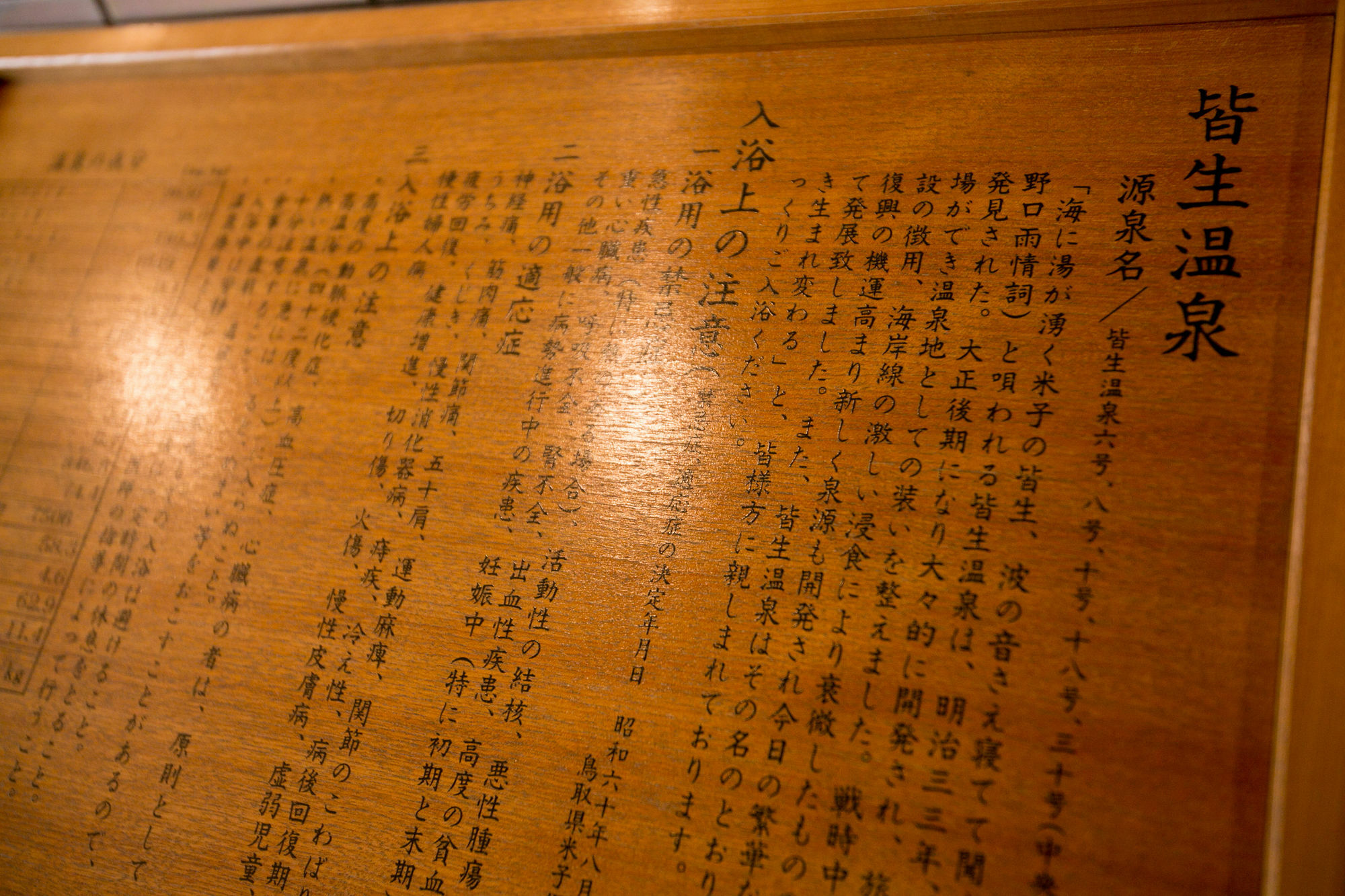 Kaike Tsuruya Hotel Yonago Exterior photo